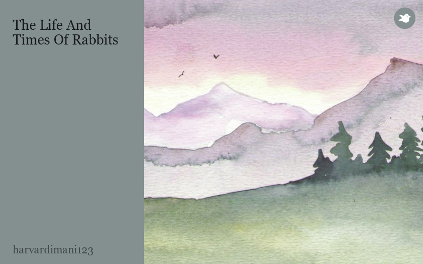 The Life And Times Of Rabbits
