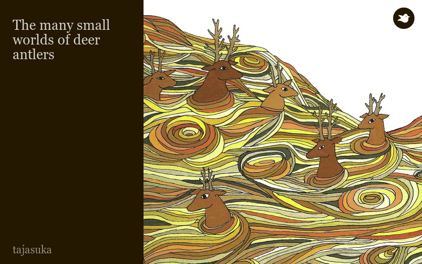 The many small worlds of deer antlers