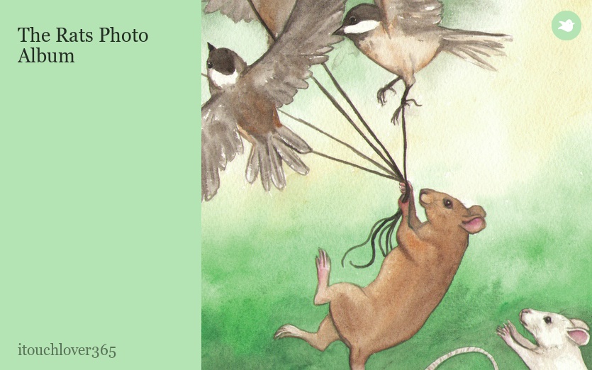 The Rats Photo Album