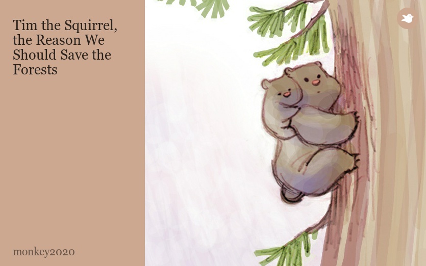 Tim the Squirrel, the Reason We Should Save the Forests