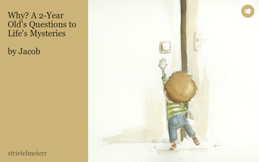 Why? A 2-Year Old's Questions to Life's Mysteries

by Jacob