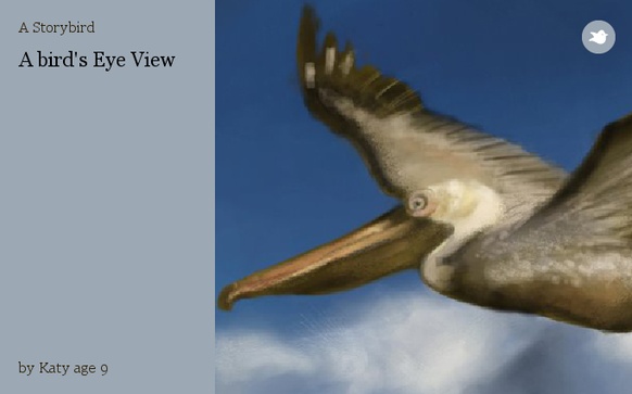 A bird's Eye View