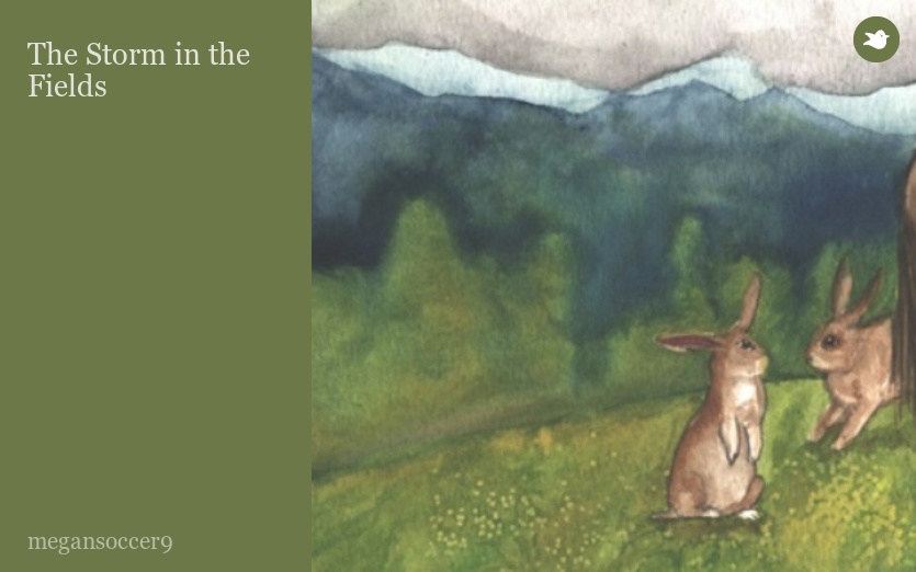 The Storm in the Fields