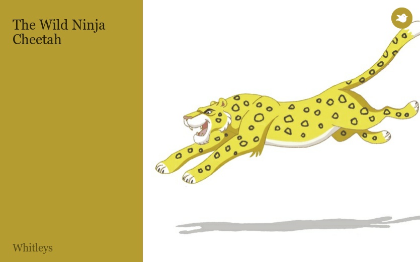 The Wild Ninja Cheetah