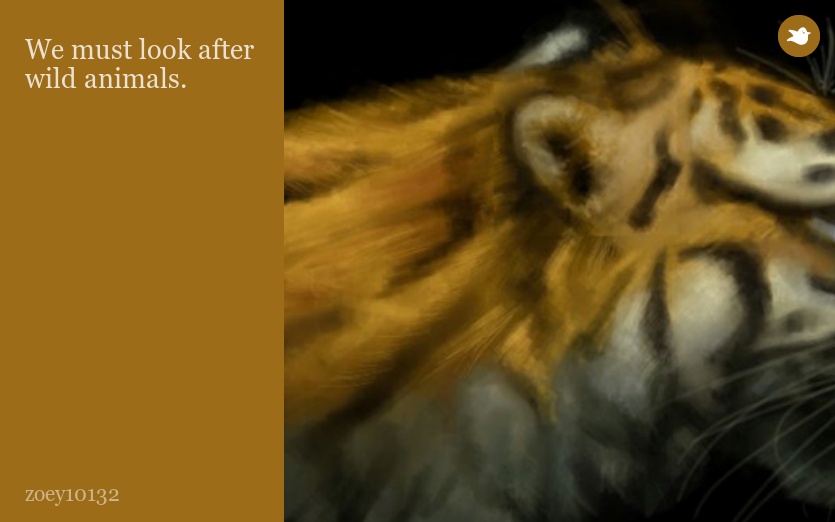 We must look after wild animals.