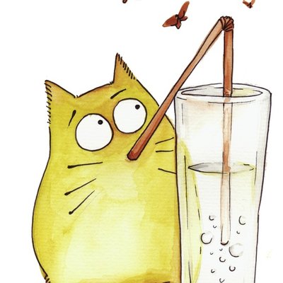 Bubble cat Bubble cat