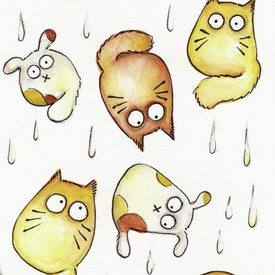 Raining cats and dogs Raining cats and dogs