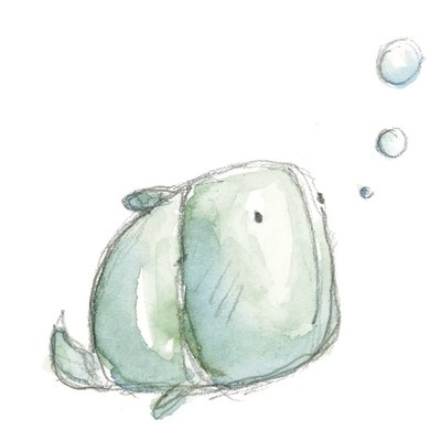 fish bubbles fish bubbles