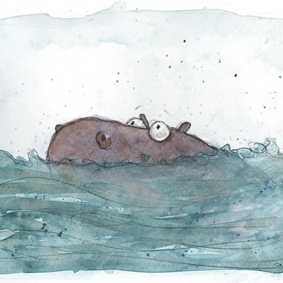 half a hippo half a hippo
