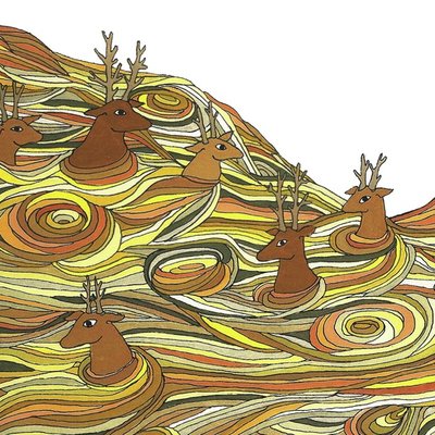 The deer sea The deer sea