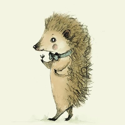 hedgehog hedgehog