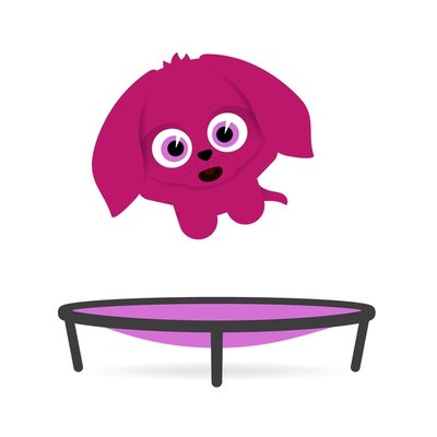 Trampoline Puppy Trampoline Puppy