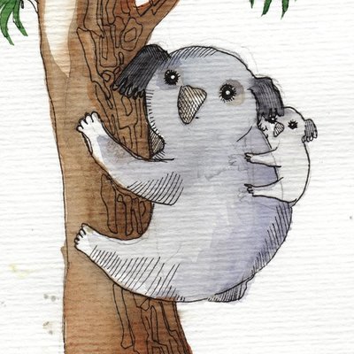 Koala Family Koala Family