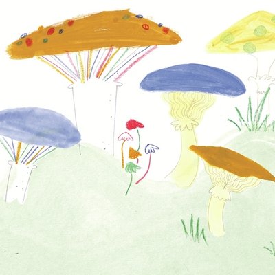 Autumn Toadstools Autumn Toadstools