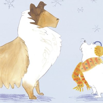 Competition with a Collie Competition with a Collie