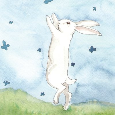 Bunny and butterflies Bunny and butterflies