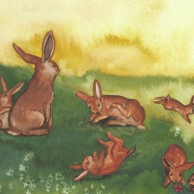 Eight rabbits Eight rabbits