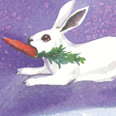 Stolen Carrot Stolen Carrot