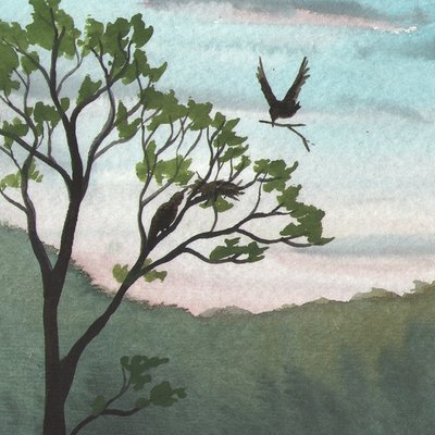 tree tree