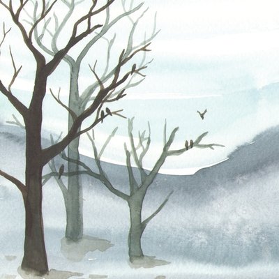 winter hills winter hills