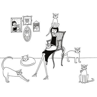 Cat lady no bird Cat lady no bird