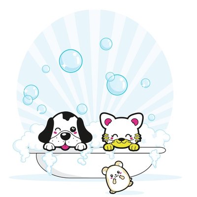 Bath Time! Bath Time!
