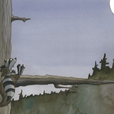Raccoon and moon Raccoon and moon