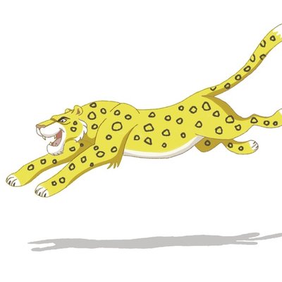 Leopard run Leopard run