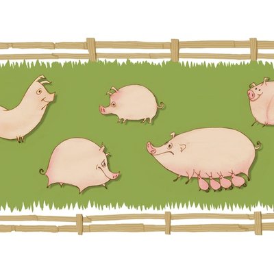Pig Farm Pig Farm