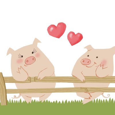 Pig Love Pig Love