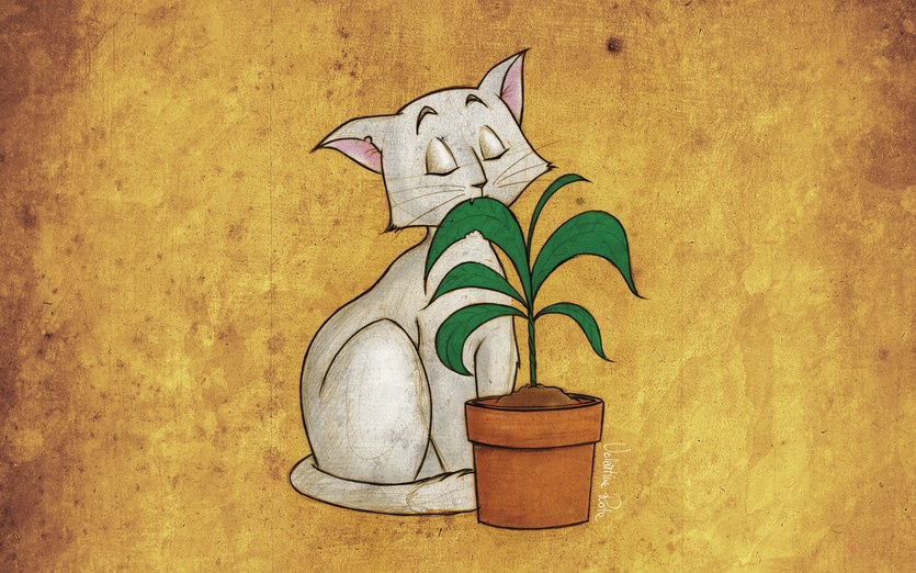 Cat chewing a plant by Valentina Rota on Storybird