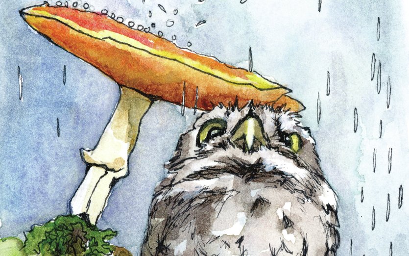 Owl Under Mushroom by Red Balloon Art on Storybird